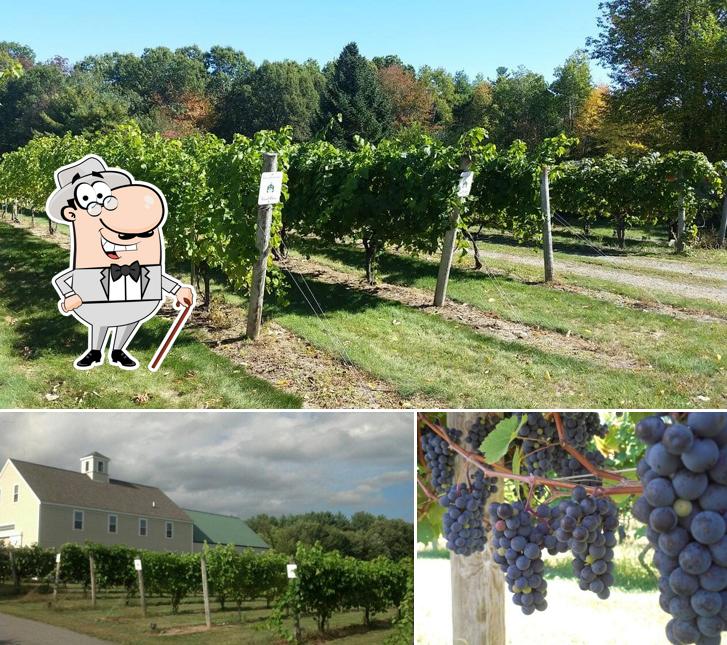 Jewell Towne Vineyards in Amesbury Restaurant reviews