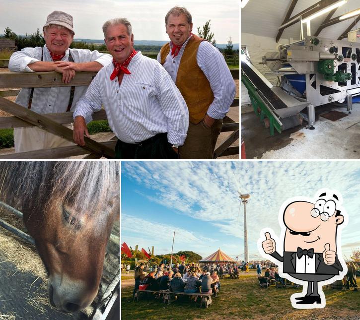 Healeys Cornish Cyder Farm in Perranzabuloe - Restaurant reviews