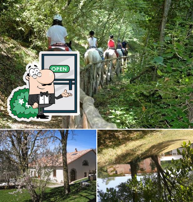 Guarda gli esterni di Agriturismo Il Cornacchino