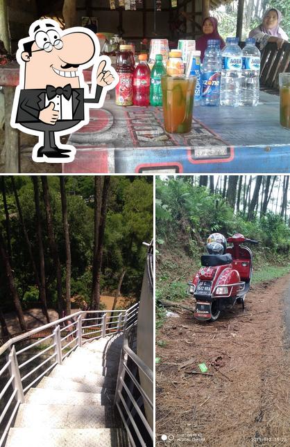 Mire esta imagen de Warung Kopi Tengah Hutan