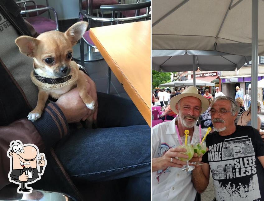 Photo de Brasserie Bizarre - Chez Tuca