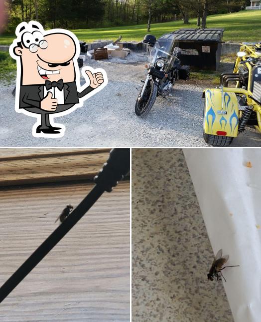 Finish Line Cafe, 3617 State Rte 30 in USA Restaurant menu and reviews