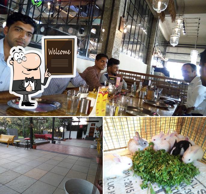 Ice Cream Works, Taloli Restaurant reviews