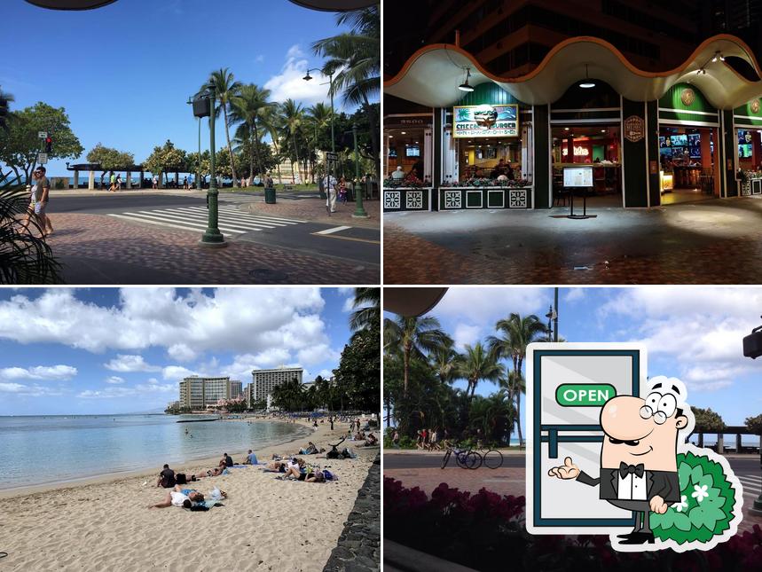 Menu of Cheeseburger In Paradise restaurant, Honolulu reviews and ratings