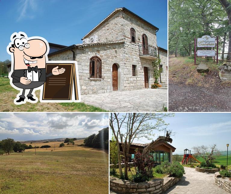 Agriturismo Caseria