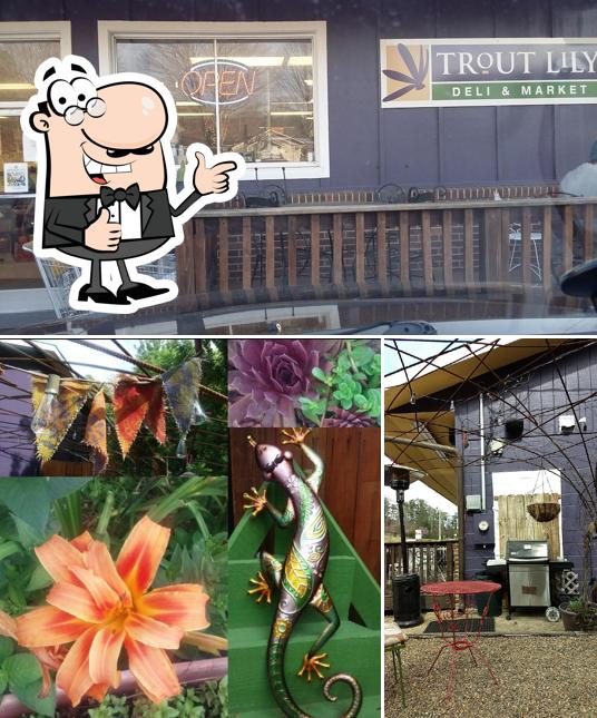 Trout Lily Deli*Market in Fairview Restaurant reviews