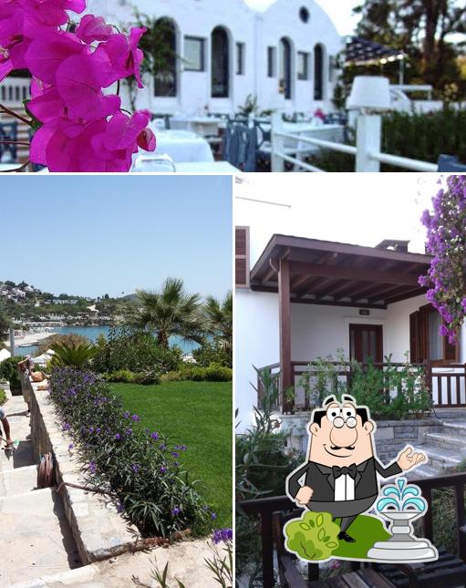 Archipelago Restaurant, Bodrum Restaurant reviews