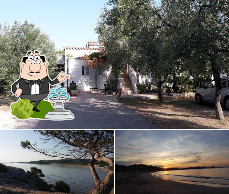 Curiosa tra gli esterni di Camping Residence Villaggio San Michele - Vieste