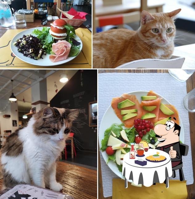 Gli hamburger di Micibo Cat Cafè potranno soddisfare i gusti di molti