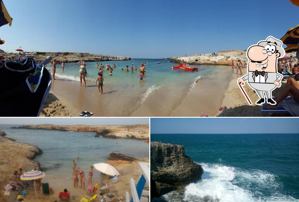 Guarda gli esterni di Lido Cala Paradiso