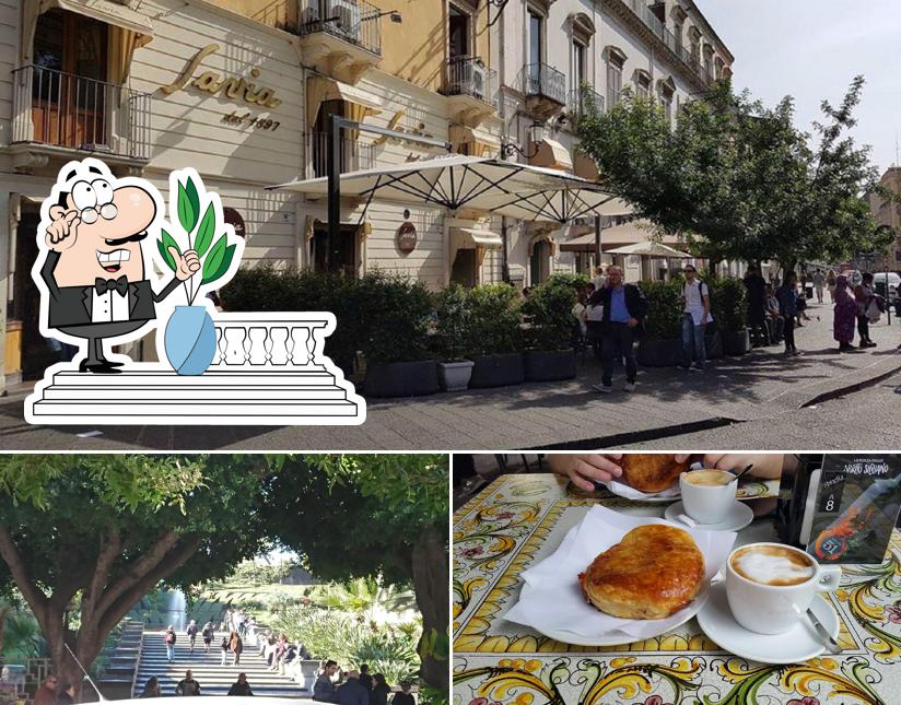 La foto della esterno e cibo di Pasticceria Savia
