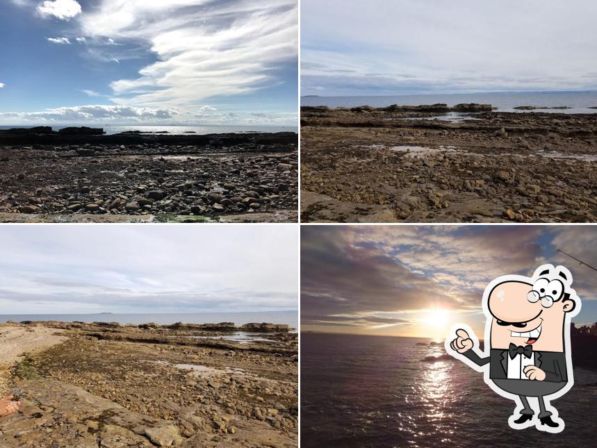 Fortune House in Cellardyke Restaurant reviews