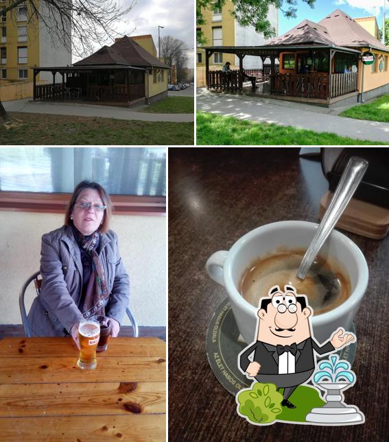 Entre la variedad de cosas que hay en Tölgyfa borozó también tienes exterior y bebida
