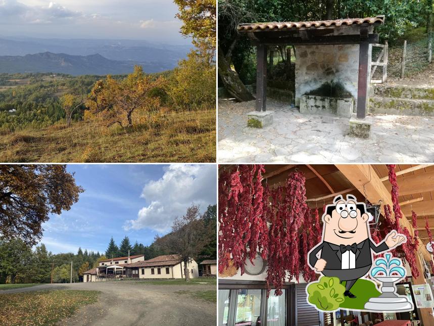 Guarda l'area esterna di Rifugio Acqua Fredda