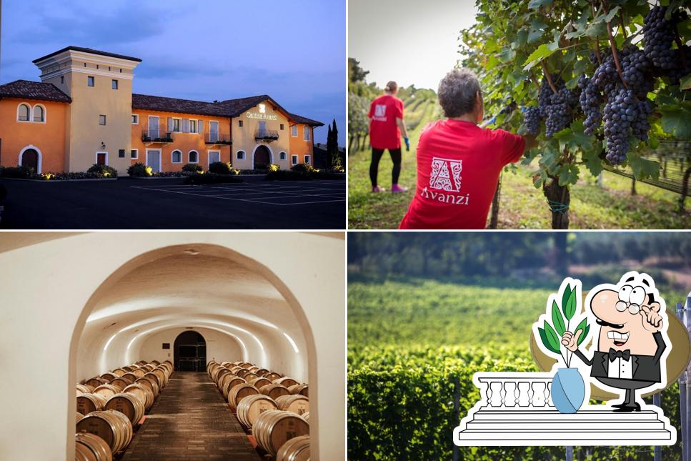 L'extérieur de Avanzi winery and Frantoio