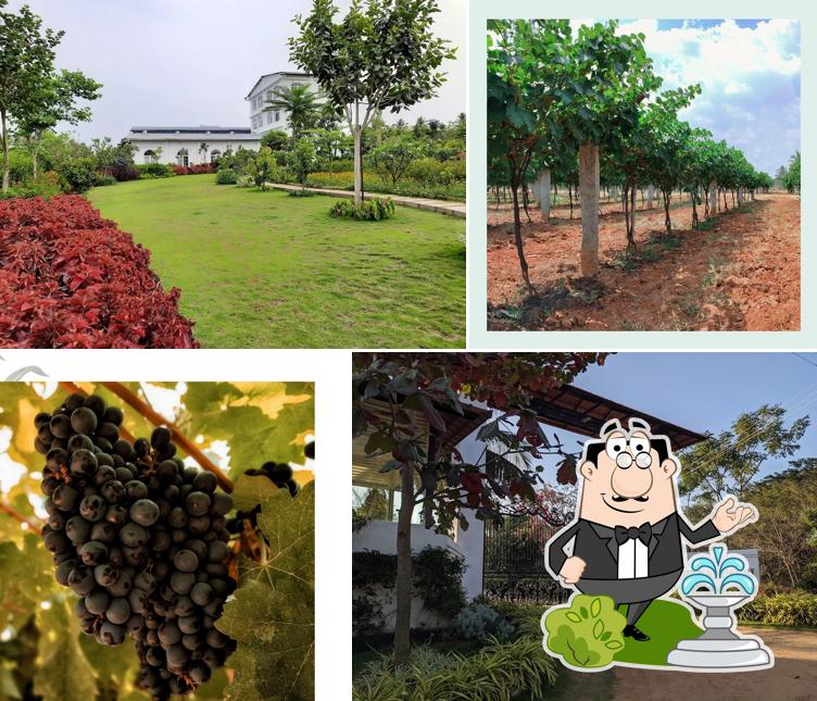 The outside part is an important feature of Big Banyan Vineyard