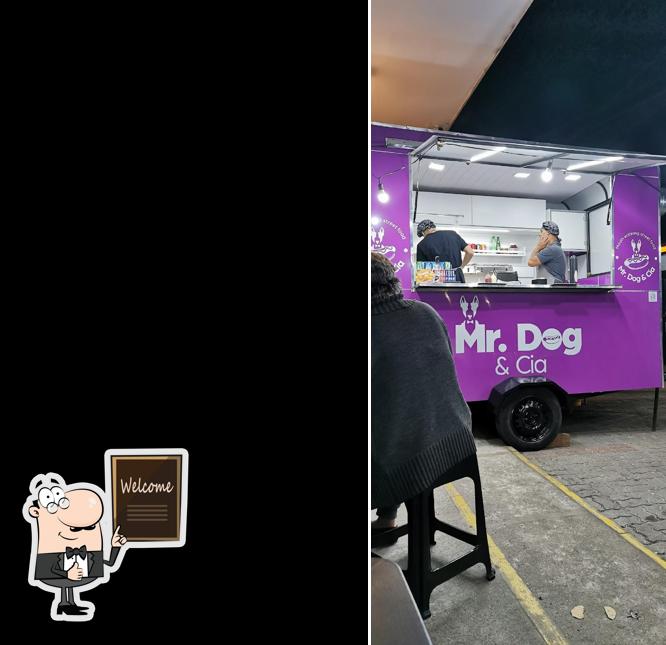 Mr. Dog & Cia