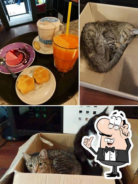 Guarda la foto che mostra la interni e esterno di MiaGola Caffè Torino - Via Bogino