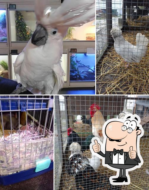 Café Isle Of Wight Pet Centre, Newport Opiniones del restaurante