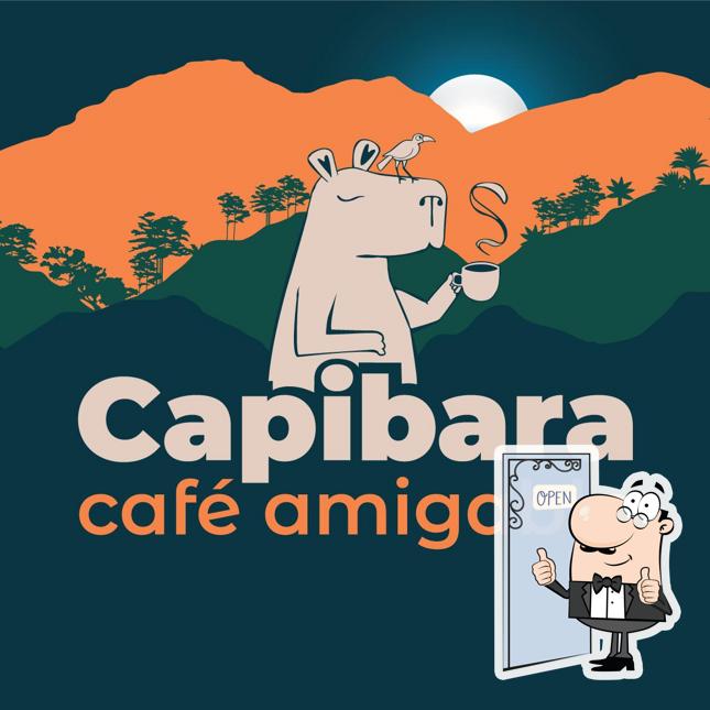 Capibara café amigable, Cayma District - Restaurant reviews