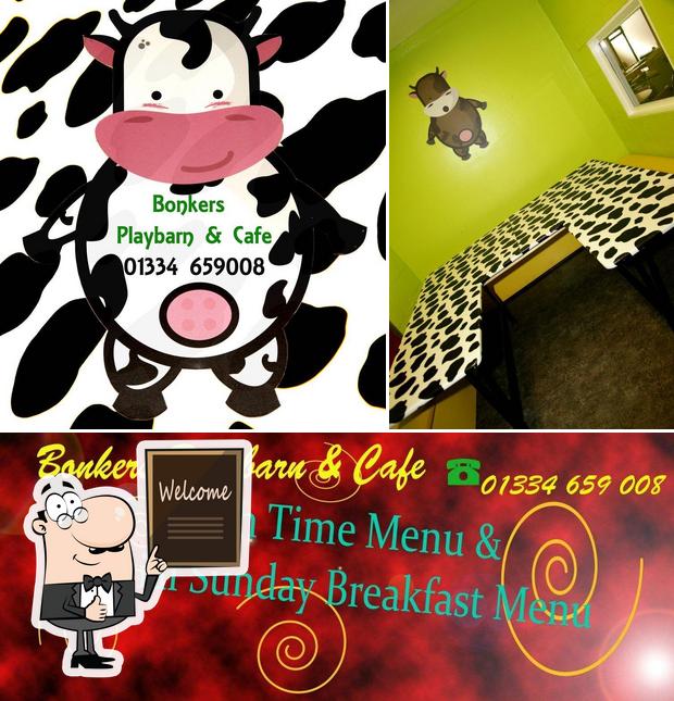 Look at the picture of Bonkers Playbarn & Cafe