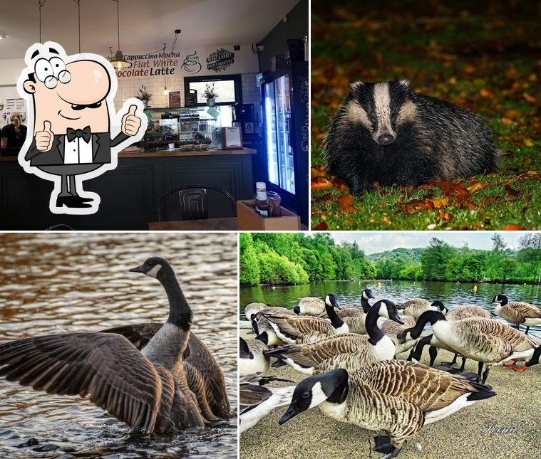 Etherow Country Park Cafe In Stockport Restaurant Reviews