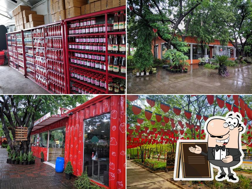Mapro Food Park