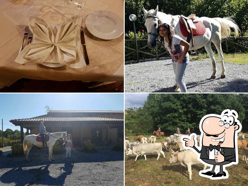 Agriturismo I Sapori della Terra