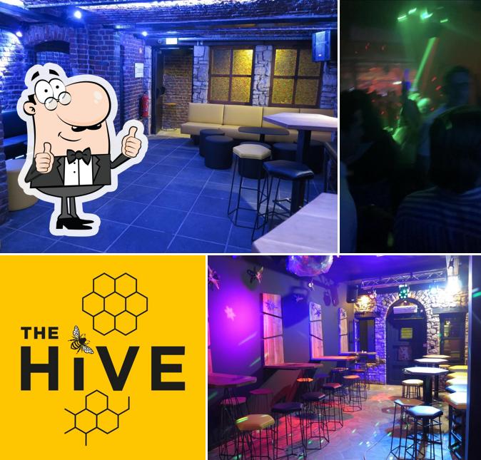 Здесь можно посмотреть снимок клуба "The Hive"