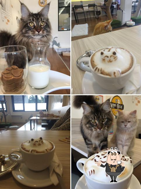 Enjoy a drink at Kopi Cat Cafe by Groovy - Kemang