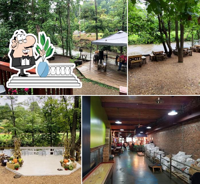 Frog Level Brewing Co in Waynesville Restaurant menu and reviews