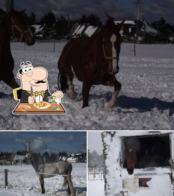 La Ferme des Mielles