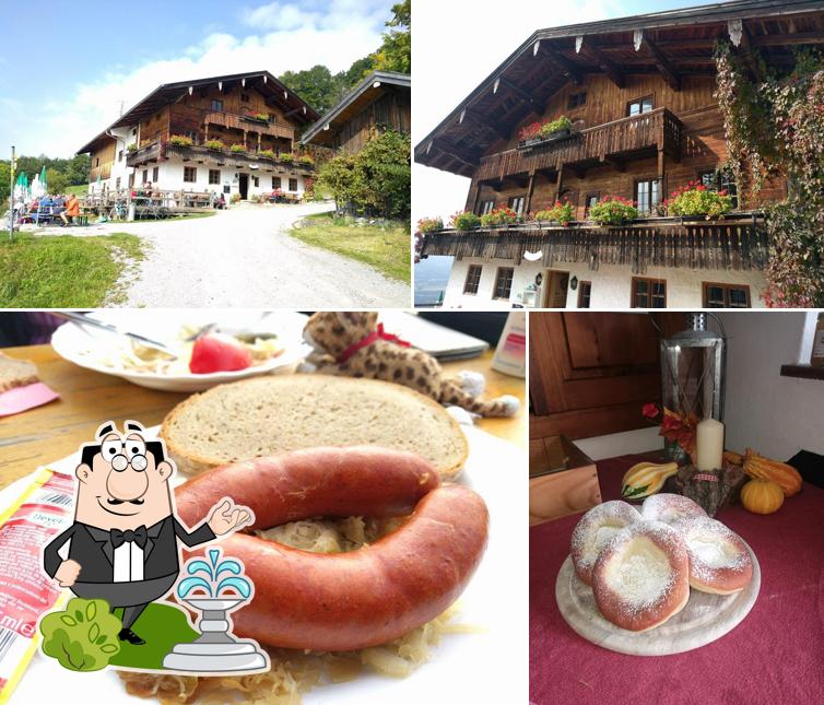 Vérifiez la photo affichant la extérieur et nourriture concernant Gasthof Dandlberg Alm