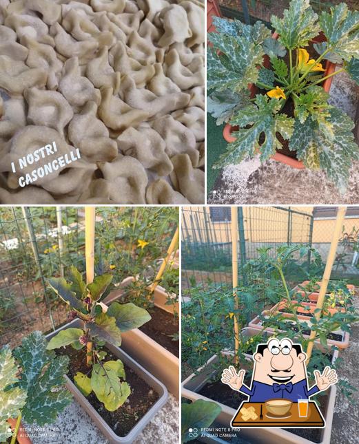 Cibo al Risto-Pizzeria i Girasoli