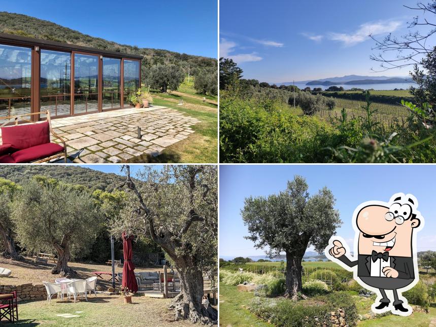 Torre di Baratti Bio Resort