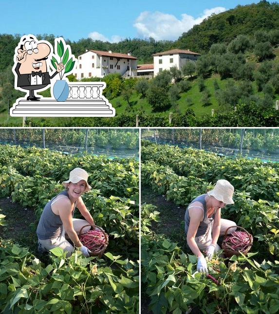 Gli esterni di Agriturismo Da Pion