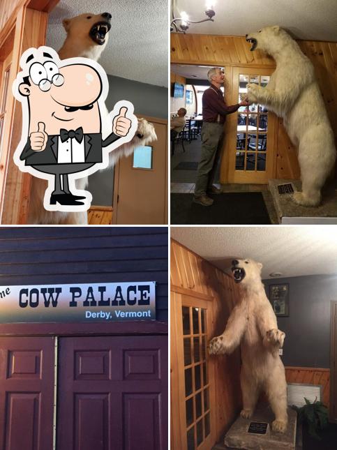 Menu of Derby Cow Palace, Derby american restaurant reviews and ratings