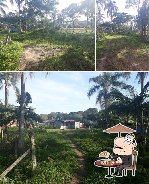 Lanchonete e Petisqueira da Lola