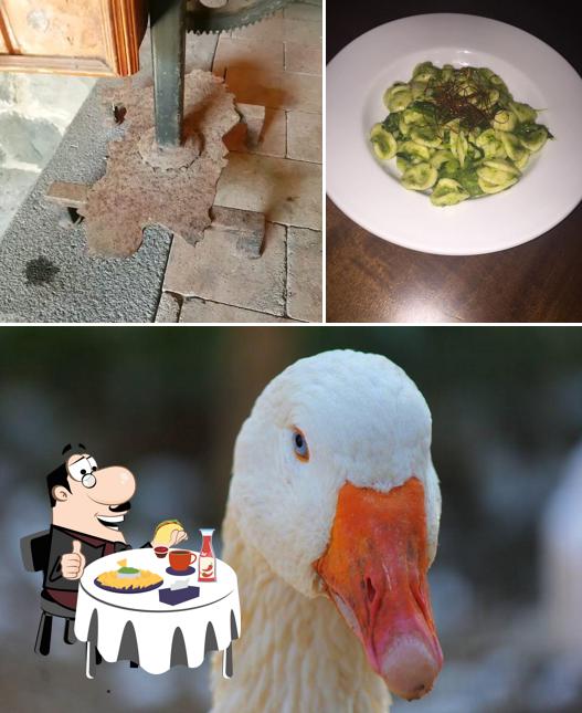 Piatto di formaggi al Agriturismo Sant'Andrea