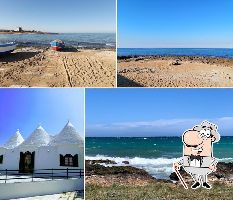 Gli esterni di Ricciolandia