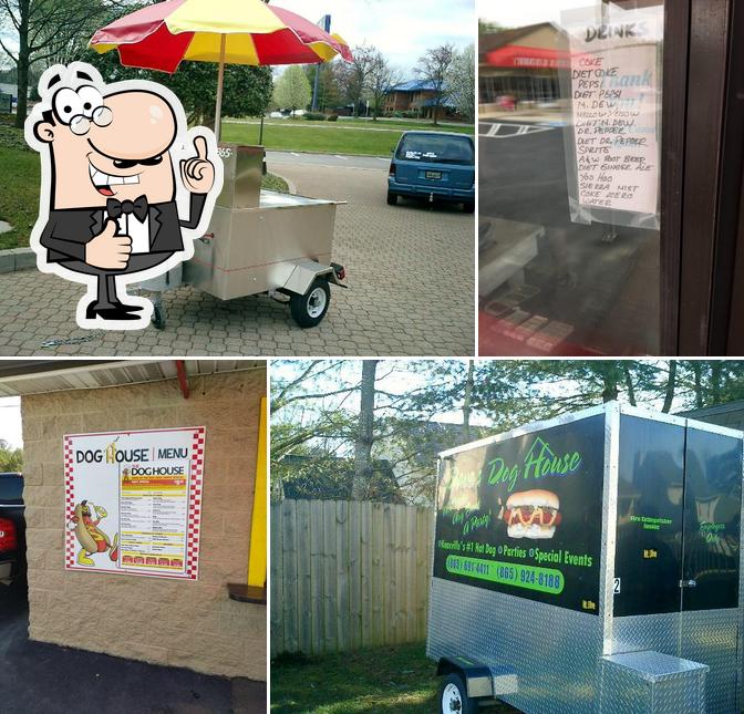 Dave's Dog House, 7409 Middlebrook Pike in Knoxville Restaurant menu and reviews