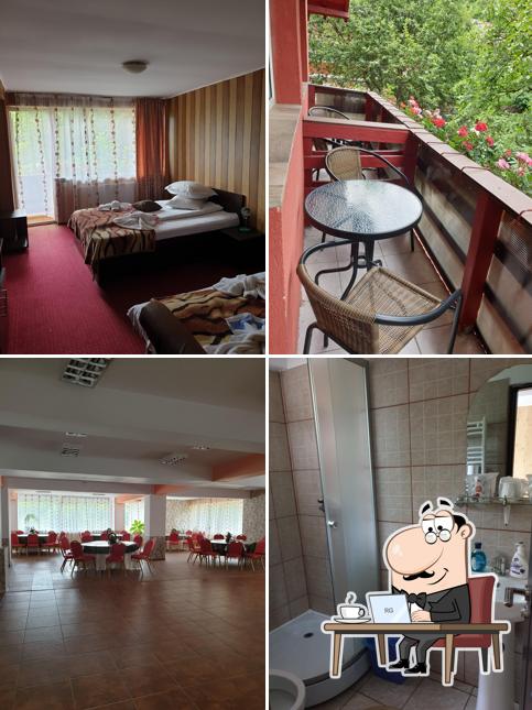Pensiunea Ioana & SPA