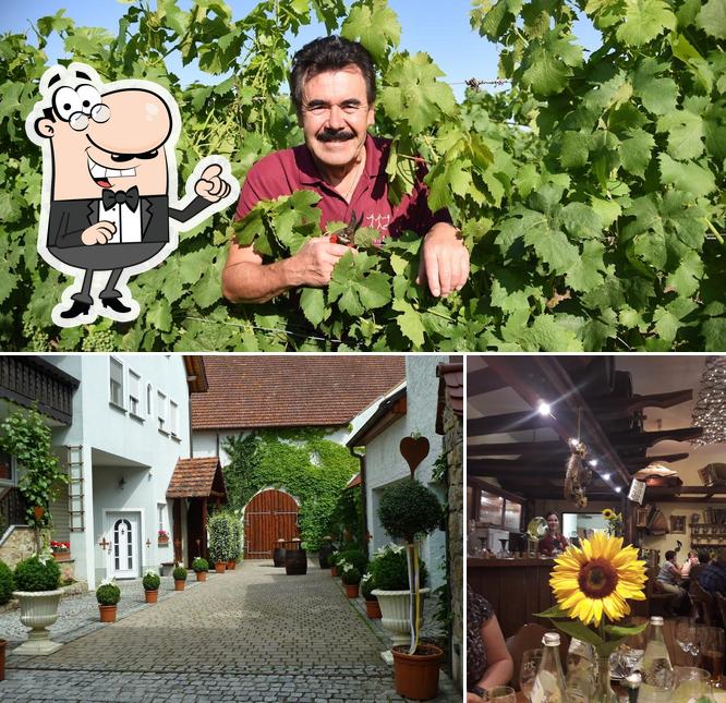 WEIN & FRIENDS Runge, Grettstadt Restaurant reviews