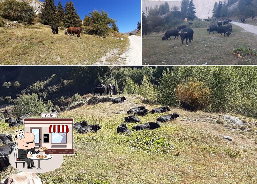 Guarda gli esterni di Relais du barrage des toules La Casa Del Pumba Chez Carron