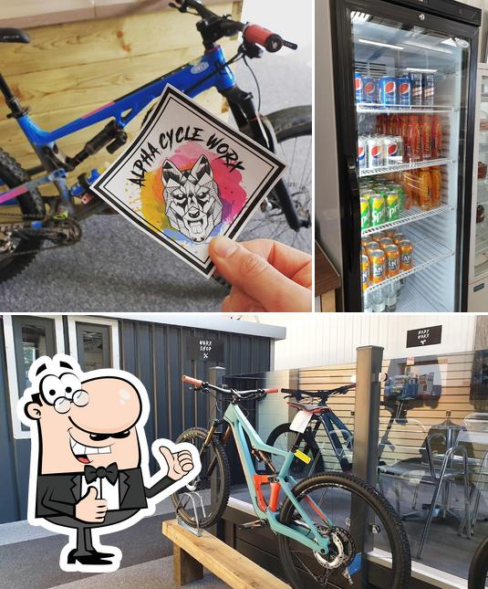 Alpha Cycle Worx in Mold Restaurant reviews