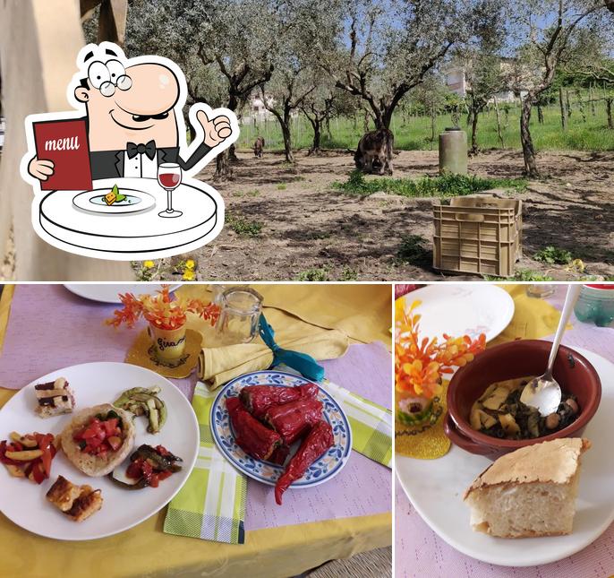 Agriturismo Il Girasole si caratterizza per la cibo e esterno