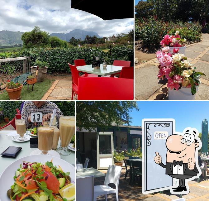 Chart Farm restaurant, Kapstadt - Restaurantbewertungen