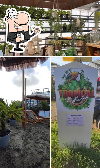 Regarder la photo de TROPICAL CoffeeShop