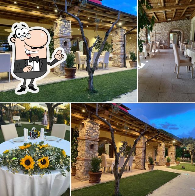 Gli interni di Ristorante L'Uliveto