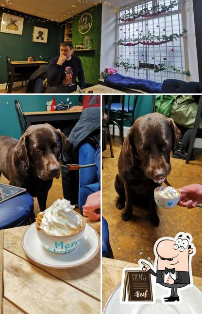 Vea esta imagen de Baileys Dog Cafe